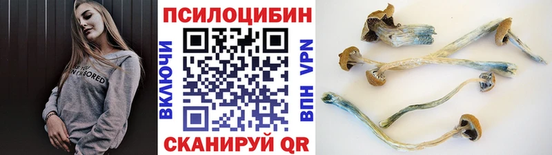 Купить  Лодейное Поле  Псилоцибиновые грибы Magic Shrooms 