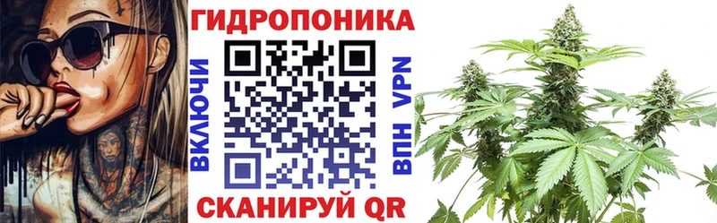 Купить где  Лодейное Поле  Каннабис LSD WEED 